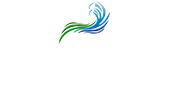 The Seashore Beach Club, Inc
